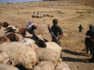 Soldati scacciano pastori e greggi con la forza